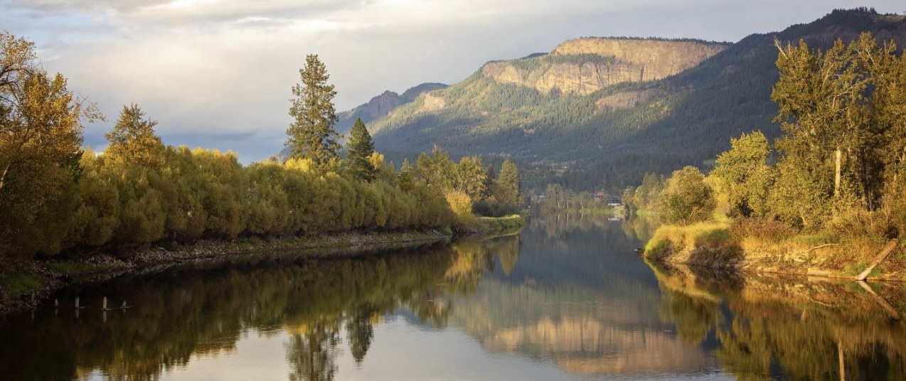 The river, golden hour